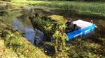 Overvloedig plantengroei Ruimzicht